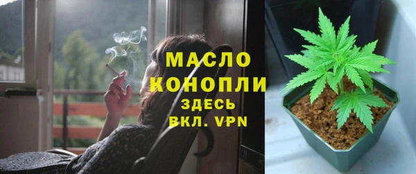 амф Щигры