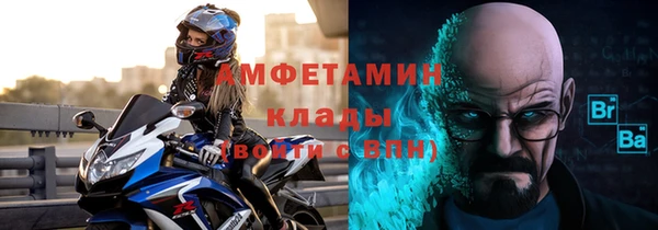 амф Щигры