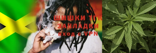 амф Щигры