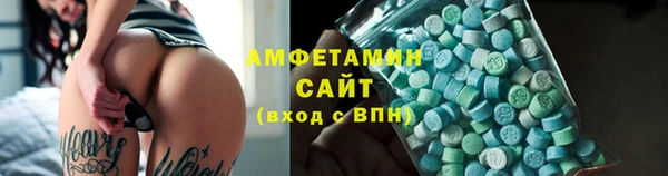 амф Щигры