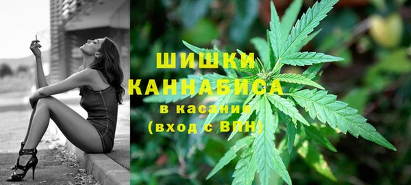 mix Менделеевск