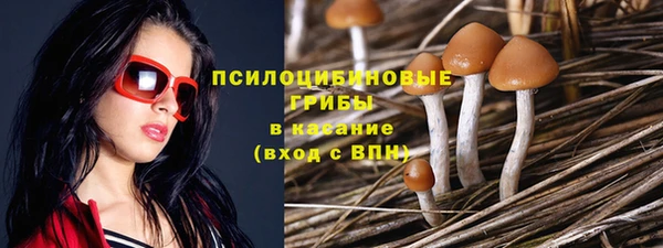 твердый Мензелинск