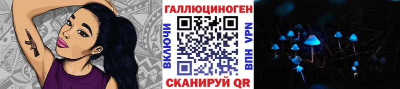 нарко площадка наркотические препараты  Любим  Псилоцибиновые грибы Psilocybine cubensis 